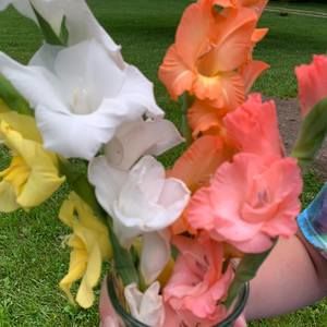 Meet your Posher, Denise